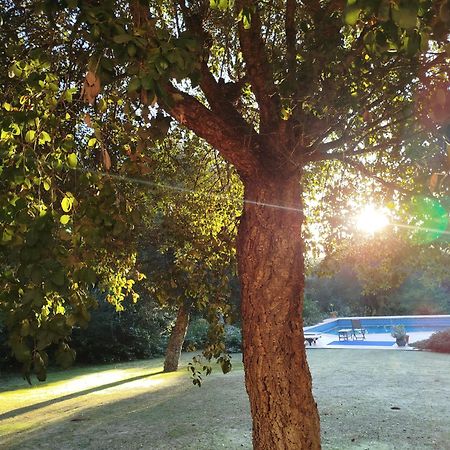 Sotogrande - Estancia En Plena Naturaleza - Abril エクステリア 写真