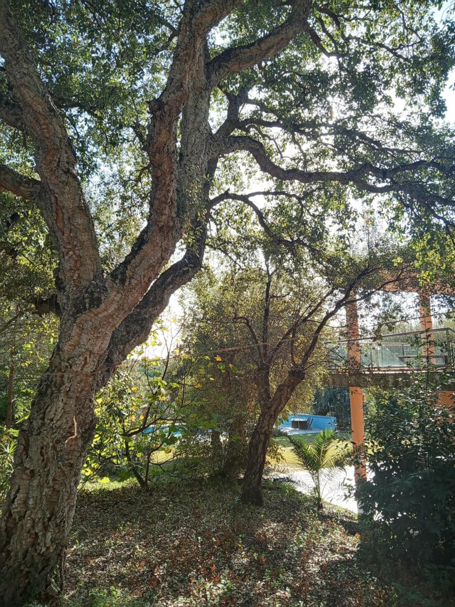 Sotogrande - Estancia En Plena Naturaleza - Abril エクステリア 写真