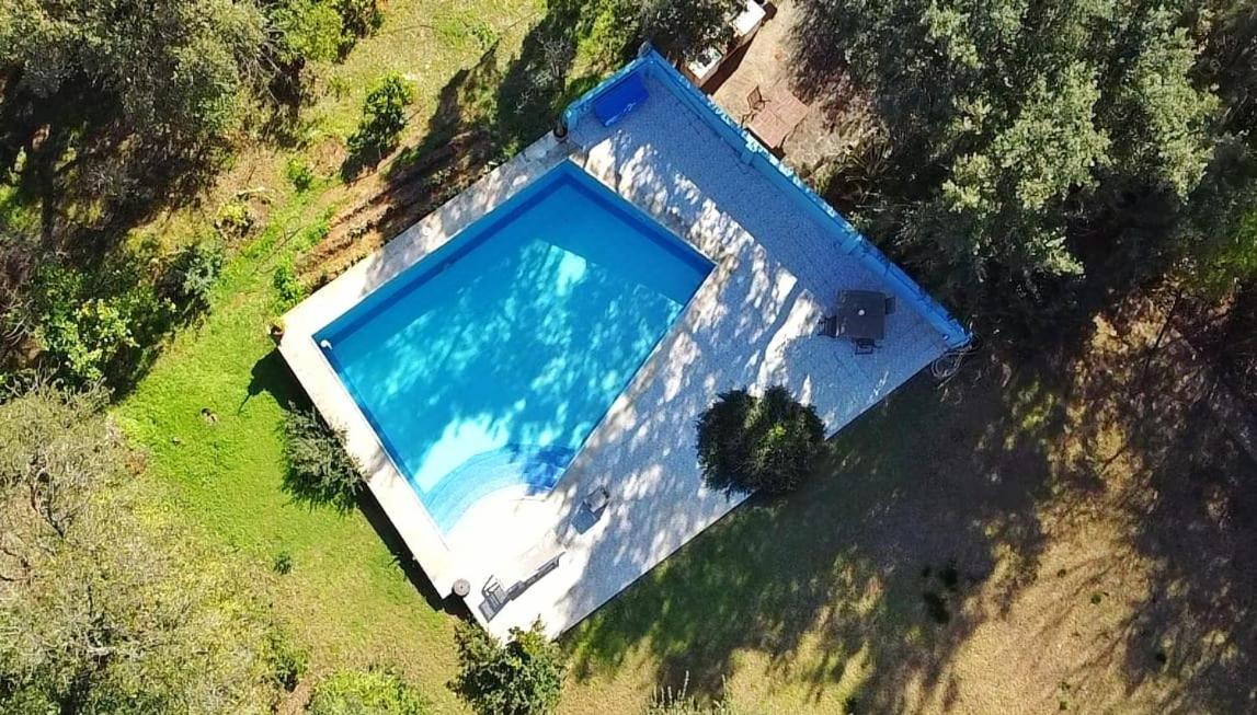 Sotogrande - Estancia En Plena Naturaleza - Abril エクステリア 写真