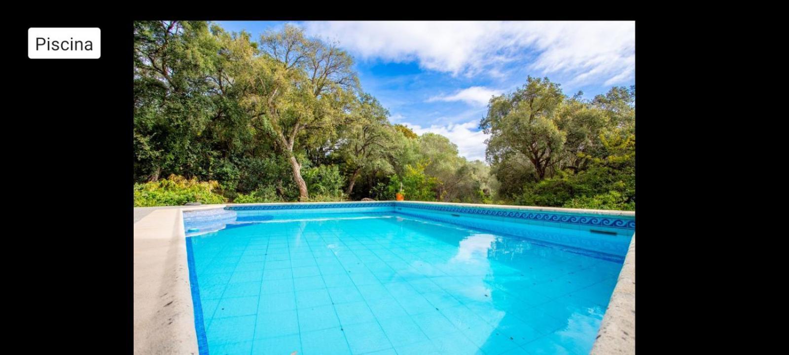 Sotogrande - Estancia En Plena Naturaleza - Abril エクステリア 写真