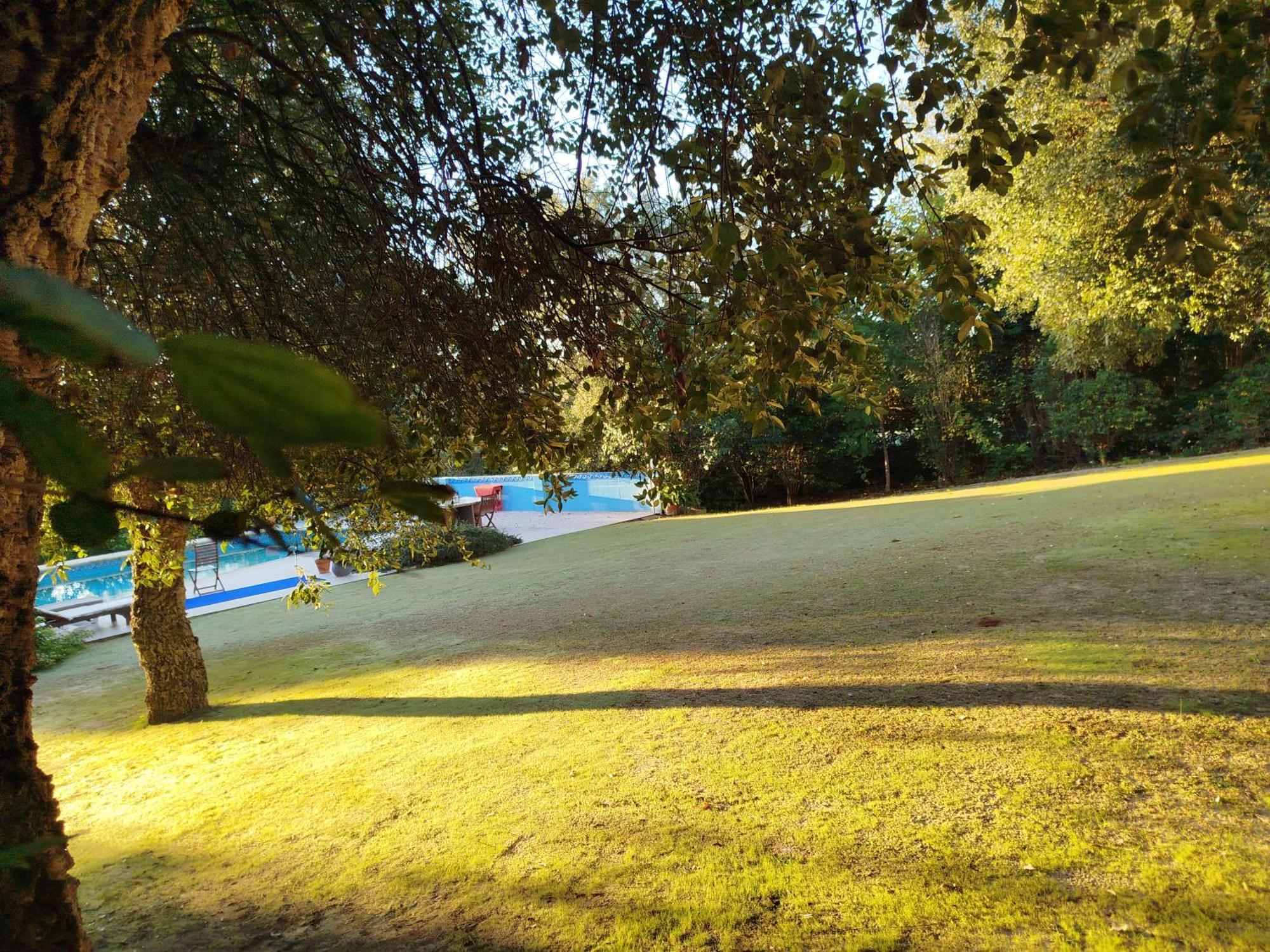 Sotogrande - Estancia En Plena Naturaleza - Abril エクステリア 写真