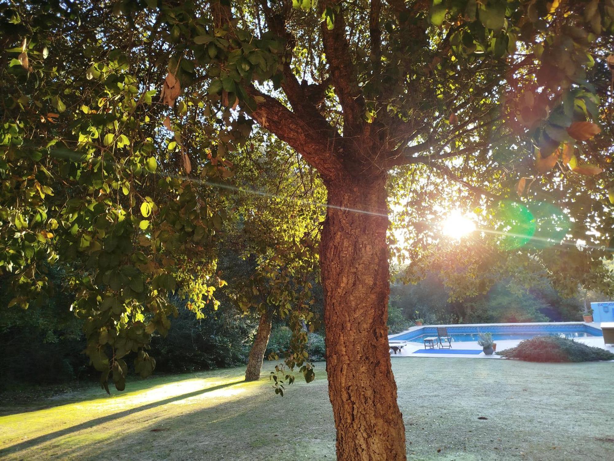 Sotogrande - Estancia En Plena Naturaleza - Abril エクステリア 写真